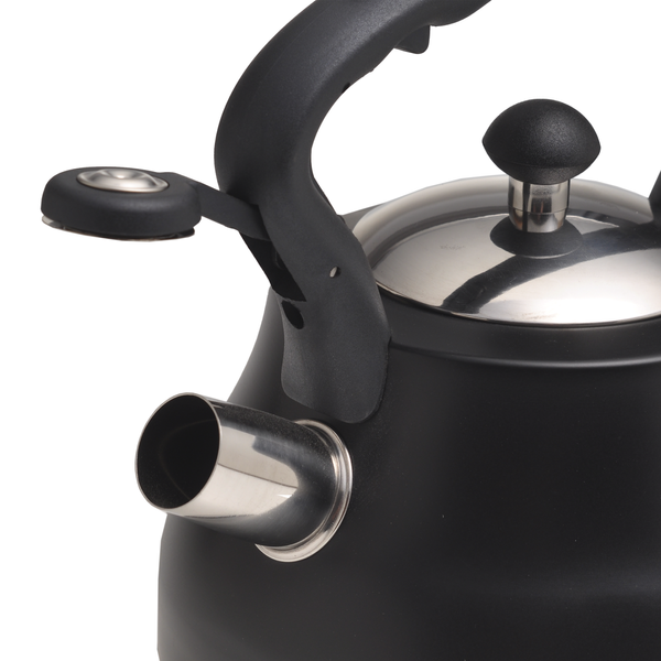Чайник Ofenbach 2.7л из нержавеющей стали со свистком (100313BL) 100313BL фото